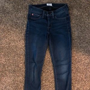 HUDSON Krista Ankle Skinny Jean 24